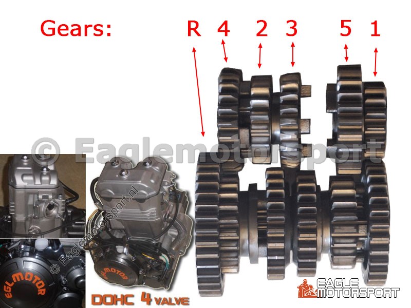 Versnellingsbak tandwielen EGL Madmax 300cc (pre-sale)